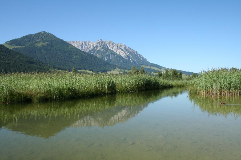 Apartament Pension Essbaum Walchsee Zewnętrze zdjęcie